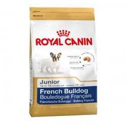 Royal Canin French Bulldog Junior